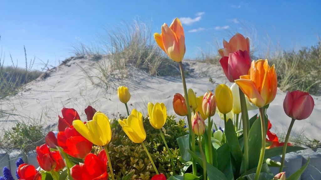 Ostsee Ferienappartements Dierhagen-Strand Klein & Fein Kültér fotó